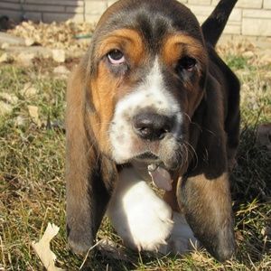 Meet your Posher, Ashli